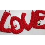 Beautiful Big Hanging Red Plush LOVE Letters with Teddy Couple